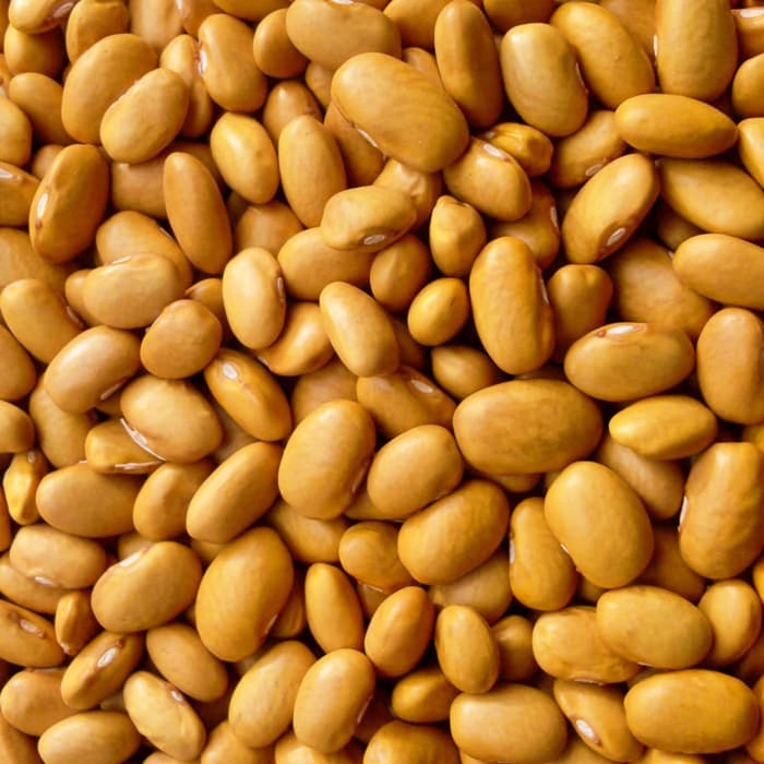 - BoxGardenSeedsLLC - Nez Perce Dry Bush Beans, - Beans / Dry Beans - Seeds