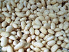 - BoxGardenSeedsLLC - Navy Dry Shell Beans, - Beans / Dry Beans - Seeds