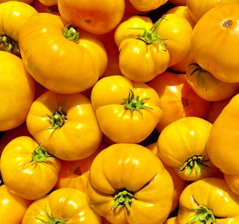 Azoychka Tomato