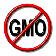a red circle with a diagonal line through it, and the letters "GMO" inside the circle.
