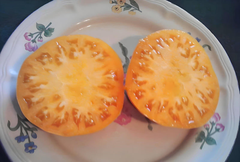 Dr. Wyche Yellow Tomato