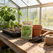 A packet of bell pepper seeds, a potted plant, a small shovel, and some soil are arranged on a wooden table in a greenhouse, with a window providing natural light.