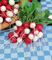 A bunch of red and white radishes with green leaves, arranged on a blue and white checkered tablecloth.