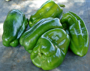 a group of green bell peppers on a surface, with some of them appearing to be freshly washed and still in their natural state.