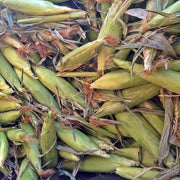 Double Standard Sweet Corn – Early Maturing Bicolor Open Pollinated Seeds