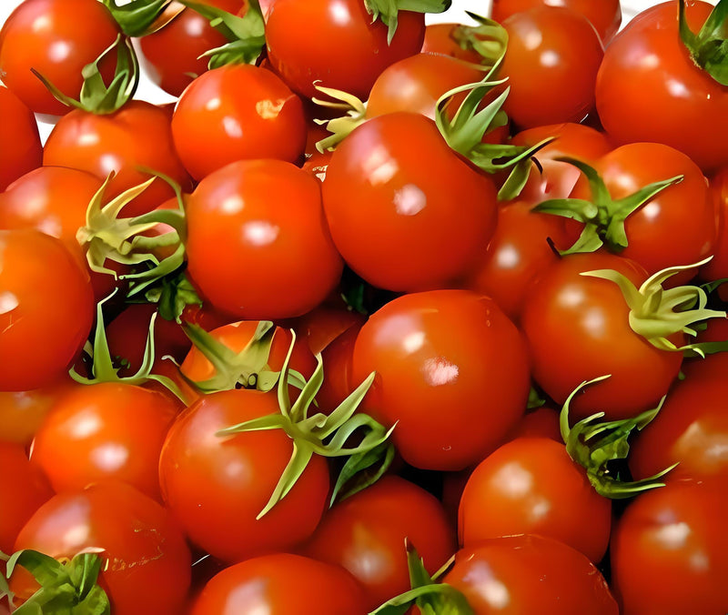 Red Cherry Tomato