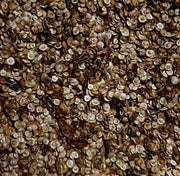 Orach Mountain Spinach Seeds