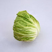 Glory of Enkhuizen Cabbage – Heirloom Vegetable Seeds | Dark Green, Disease Resistant