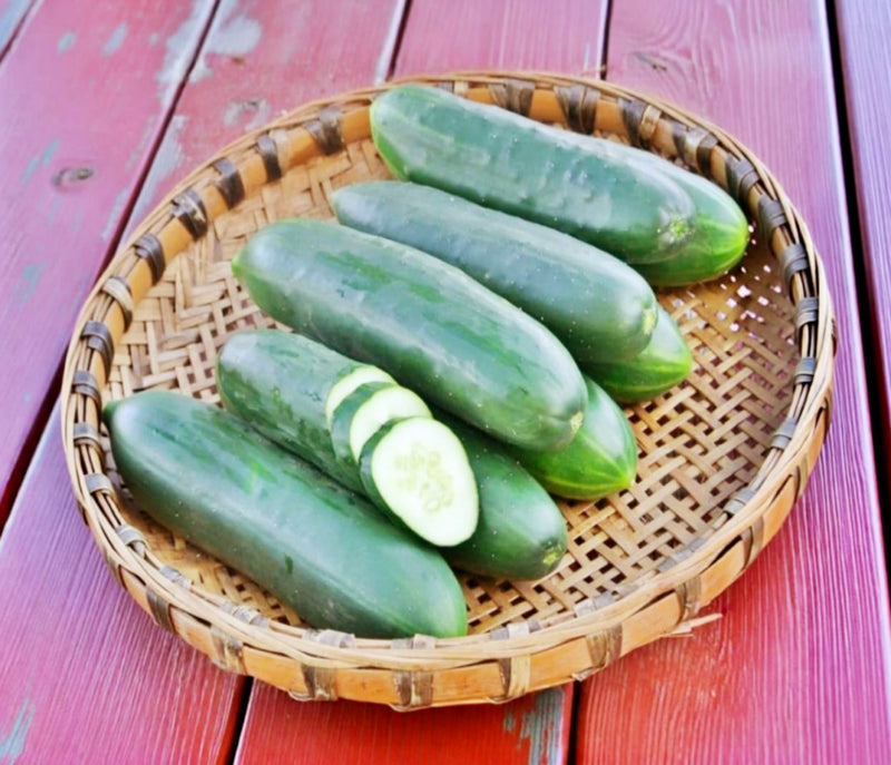 Poinsett 76 Cucumber Heirloom Seeds