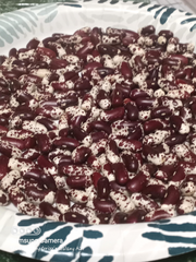 1500 Year Old Cave, Dry Pole Bean - BoxGardenSeedsLLC - Beans / Dry Beans - Seeds - Thank you for shopping here today, Non GMO Seeds, Naturally Grown Seeds, Grown to Organic Standards, Heirloom Seeds, Open Pollinated Seeds, Fresh Premier Seeds, USA Seller