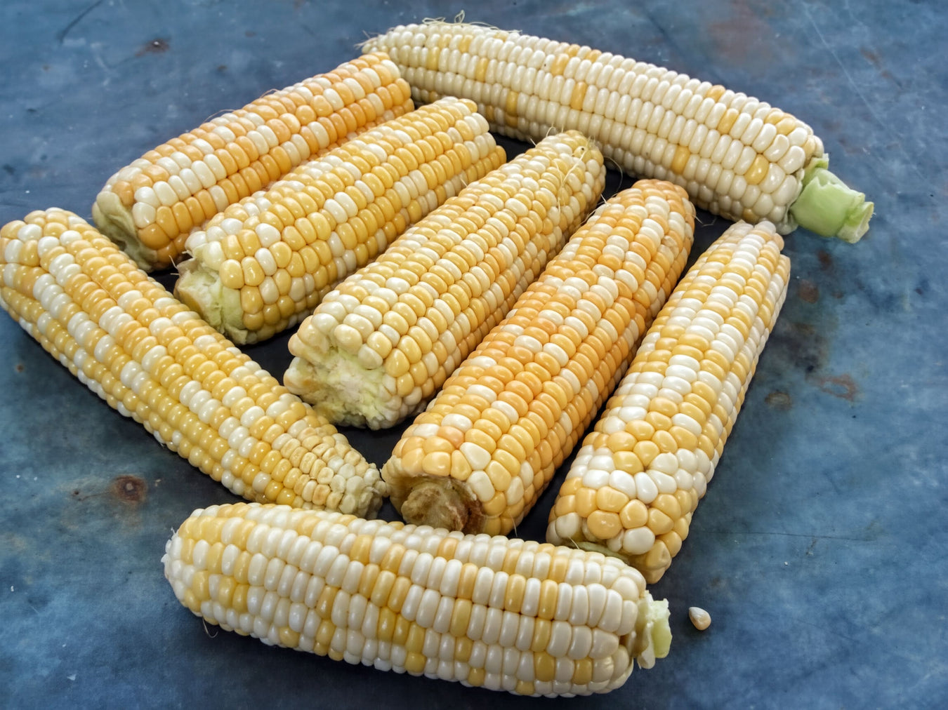 Corn