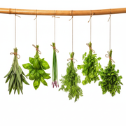 Basic 6 Herb Bundles