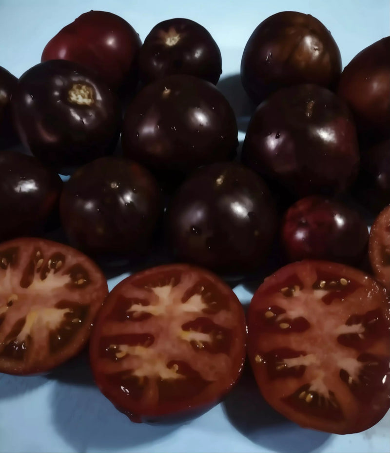 Black Beauty Tomato