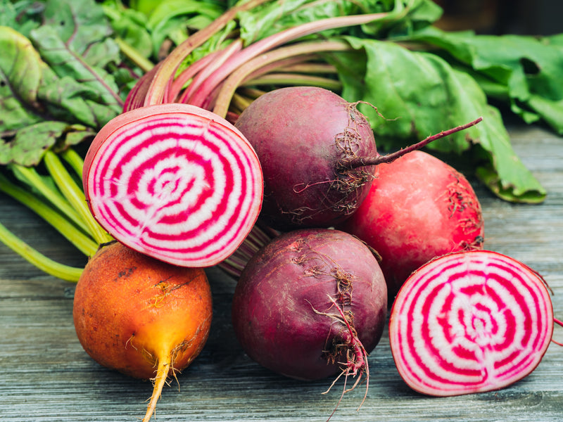 Chioggia, Beets  ABS