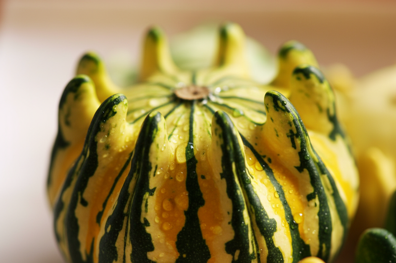 Crown of Thorns Gourd — Close-up Macro