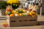 Crown of Thorns Gourd — Fall Harvest Display