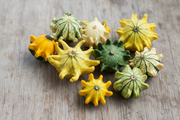 Crown of Thorns Gourd — Fixed & Polished