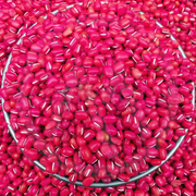 a close-up view of a pile of bright red, glossy beans or grains, possibly beans or grains, arranged in a circular pattern.