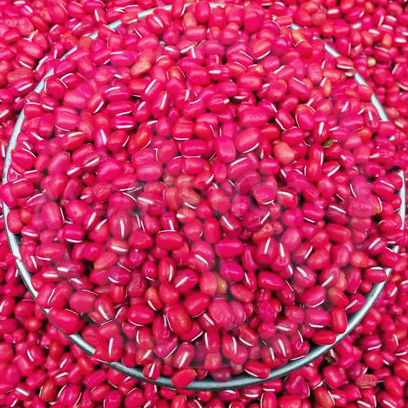 a close-up view of a pile of bright red, glossy beans or grains, possibly beans or grains, arranged in a circular pattern.