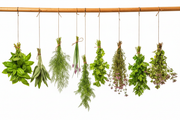 Deluxe 9 Herb Bundles