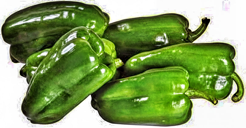 Cascaduro Sweet Pepper - Heirloom Pepper Seeds | Easy to Grow, Non GMO