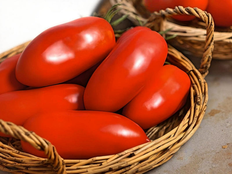 A wicker basket filled with bright red tomatoes.