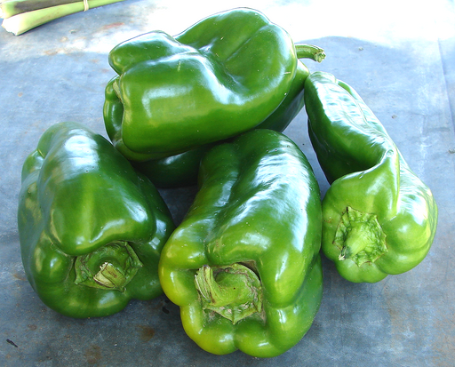 A group of fresh green bell peppers on a table.
