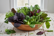 Gourmet Braising Mix — Harvest Bowl