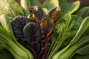 Gourmet Braising Mix — Macro Leaf Variety