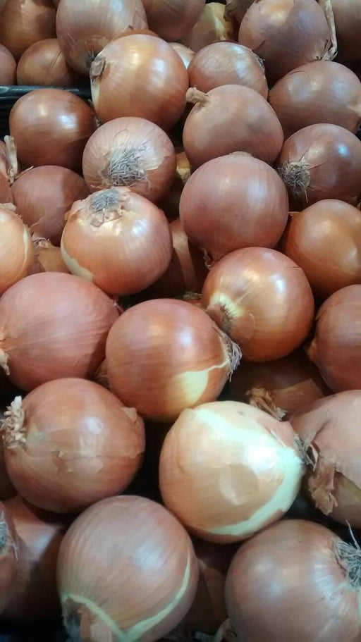 Utah Yellow Sweet Spanish, Onion, -- BoxGardenSeedsLLC -Onions,Leeks - Seeds