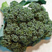 Waltham 29, Broccoli, - BoxGardenSeedsLLC -Broccoli,Cauliflower - Seeds