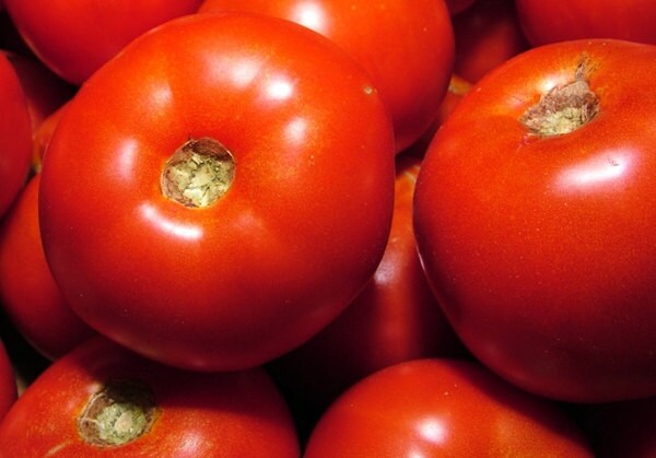Rutgers, Tomato - BoxGardenSeedsLLC - Tomatoes,Tomatillos - Seeds - 