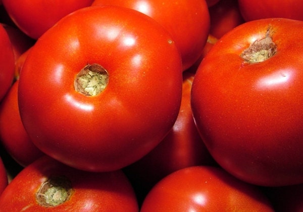 Rutgers, Tomato, - BoxGardenSeedsLLC -Tomatoes,Tomatillos - Seeds