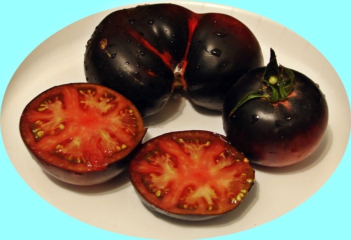 Black Beauty, Tomato, -- BoxGardenSeedsLLC -Tomatoes,Tomatillos - Seeds