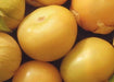 Amarylla Yellow, Tomatillo, -- BoxGardenSeedsLLC -Tomatoes,Tomatillos - Seeds