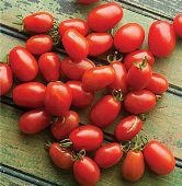 Baby Roma, Tomato, -- BoxGardenSeedsLLC -Tomatoes,Tomatillos - Seeds