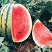 Crimson Sweet, Watermelon, - BoxGardenSeedsLLC -Melons, Cantaloupe - Seeds