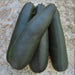 - BoxGardenSeedsLLC - Black Beauty Zucchini, Summer Squash, - Squash,Pumpkins - Seeds