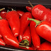 Jalapeno Chili, Hot Pepper, - BoxGardenSeedsLLC -Peppers,Eggplants - Seeds