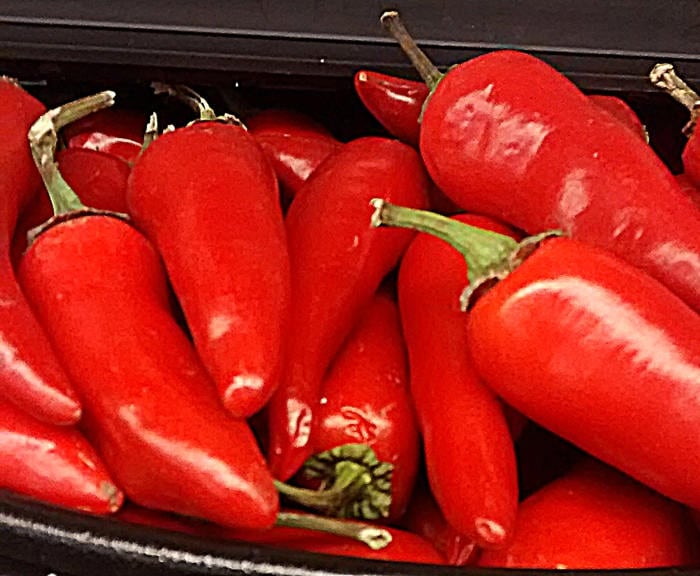 Jalapeno Chili, Hot Pepper, -- BoxGardenSeedsLLC -Peppers,Eggplants - Seeds