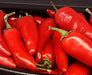 Jalapeno Chili, Hot Pepper, -- BoxGardenSeedsLLC -Peppers,Eggplants - Seeds