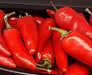 - BoxGardenSeedsLLC - Craig's Grande Jalapeno Hot Pepper - Peppers,Eggplants - Seeds