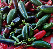 Jalapeno Chili, Hot Pepper - BoxGardenSeedsLLC - Peppers,Eggplants - Seeds - USA Seller, Thank you for shopping here today, Naturally Grown GMO Free Seeds, Heirloom Open Pollinated Seeds, Fresh Top Quality Premium Seeds