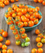 Gold Nugget, Tomato, -- BoxGardenSeedsLLC -Tomatoes,Tomatillos - Seeds