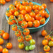 Gold Nugget, Tomato, - BoxGardenSeedsLLC -Tomatoes,Tomatillos - Seeds