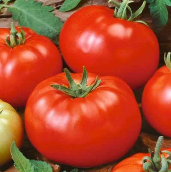 Red Beefsteak, Tomato - BoxGardenSeedsLLC - Tomatoes,Tomatillos - Seeds - 