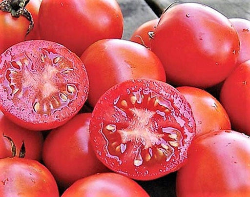 Siberian, Tomato, -- BoxGardenSeedsLLC -Tomatoes,Tomatillos - Seeds