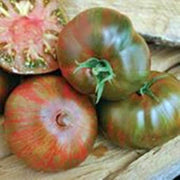 Large Barred Boar, Tomato - BoxGardenSeedsLLC -Tomatoes,Tomatillos - Seeds