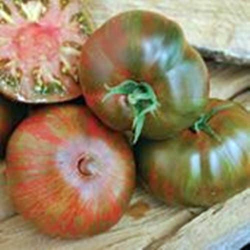 Large Barred Boar, Tomato, -- BoxGardenSeedsLLC -Tomatoes,Tomatillos - Seeds