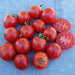 Early Tanna, Tomato, - BoxGardenSeedsLLC -Tomatoes,Tomatillos - Seeds